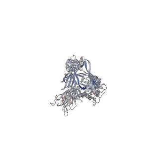 24988_7sbt_A_v2-1
One RBD-up 2 of pre-fusion SARS-CoV-2 Gamma variant spike protein