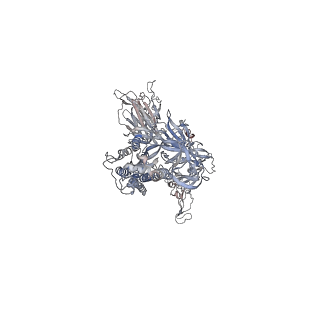 24988_7sbt_B_v1-0
One RBD-up 2 of pre-fusion SARS-CoV-2 Gamma variant spike protein