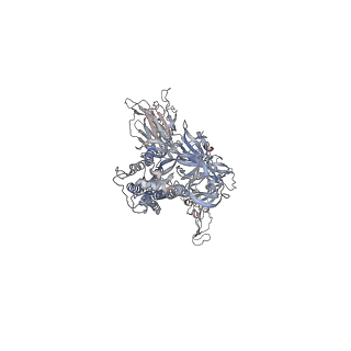 24988_7sbt_B_v2-1
One RBD-up 2 of pre-fusion SARS-CoV-2 Gamma variant spike protein
