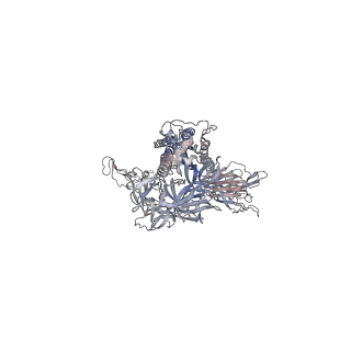 24988_7sbt_C_v1-0
One RBD-up 2 of pre-fusion SARS-CoV-2 Gamma variant spike protein