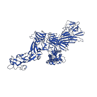 24989_7sbv_B_v1-1
Structure of OC43 spike in complex with polyclonal Fab4 (Donor 269)