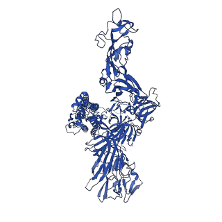24989_7sbv_J_v1-1
Structure of OC43 spike in complex with polyclonal Fab4 (Donor 269)