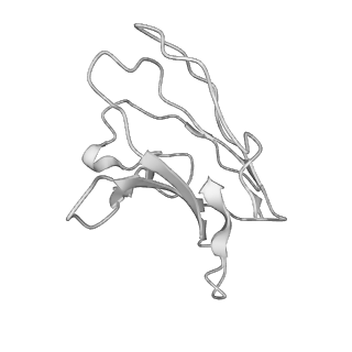 24989_7sbv_L_v1-1
Structure of OC43 spike in complex with polyclonal Fab4 (Donor 269)