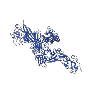 24990_7sbw_A_v1-1
Structure of OC43 spike in complex with polyclonal Fab5 (Donor 1051)
