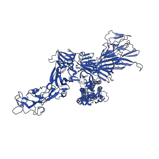 24990_7sbw_B_v1-1
Structure of OC43 spike in complex with polyclonal Fab5 (Donor 1051)