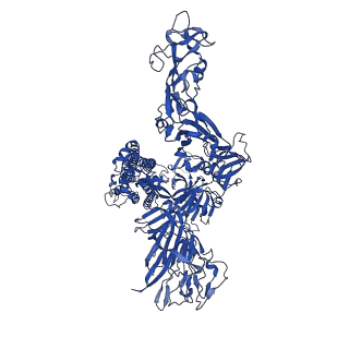 24990_7sbw_J_v1-1
Structure of OC43 spike in complex with polyclonal Fab5 (Donor 1051)
