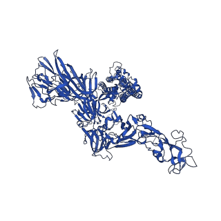 24991_7sbx_A_v1-1
Structure of OC43 spike in complex with polyclonal Fab6 (Donor 1051)