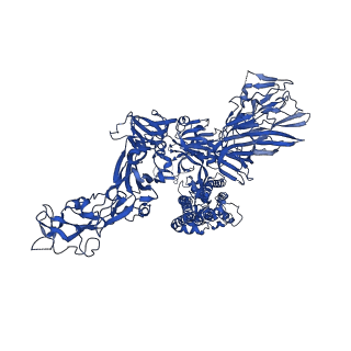 24991_7sbx_B_v1-1
Structure of OC43 spike in complex with polyclonal Fab6 (Donor 1051)