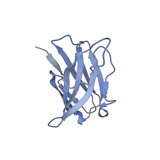 40286_8sb0_C_v1-1
CryoEM structure of DH270.I4.6-CH848.10.17