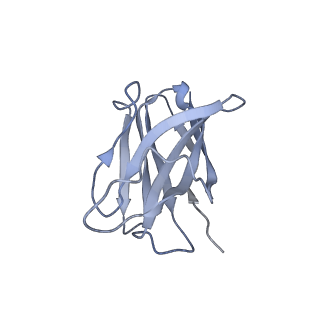 40287_8sb1_H_v1-1
CryoEM structure of DH270.I3-CH848.10.17