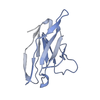40290_8sb4_I_v1-1
CryoEM structure of DH270.1-CH848.10.17