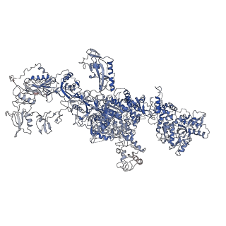 10141_6scj_A_v1-2
The structure of human thyroglobulin