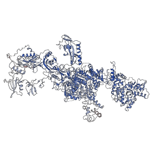 10141_6scj_A_v2-0
The structure of human thyroglobulin