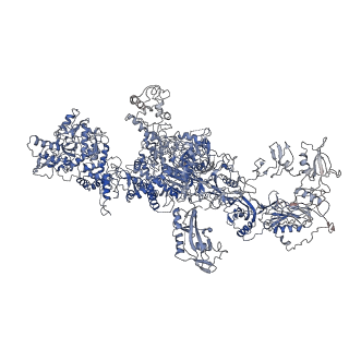10141_6scj_B_v1-2
The structure of human thyroglobulin