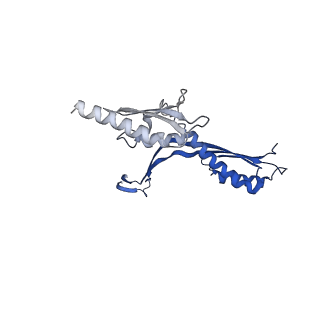 10143_6scn_A_v1-1
33mer structure of the Salmonella flagella MS-ring protein FliF