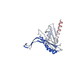 10143_6scn_B_v1-1
33mer structure of the Salmonella flagella MS-ring protein FliF