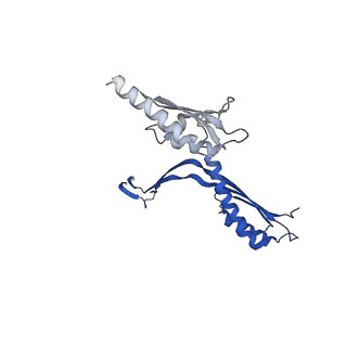 10143_6scn_C_v1-1
33mer structure of the Salmonella flagella MS-ring protein FliF