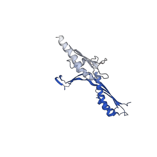 10143_6scn_D_v1-1
33mer structure of the Salmonella flagella MS-ring protein FliF