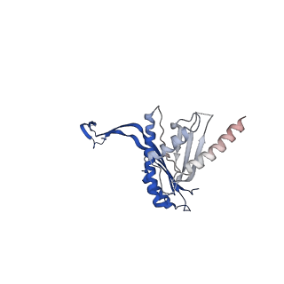 10143_6scn_E_v1-1
33mer structure of the Salmonella flagella MS-ring protein FliF