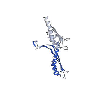 10143_6scn_F_v1-1
33mer structure of the Salmonella flagella MS-ring protein FliF