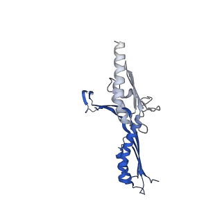 10143_6scn_G_v1-1
33mer structure of the Salmonella flagella MS-ring protein FliF