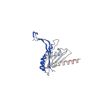 10143_6scn_H_v1-1
33mer structure of the Salmonella flagella MS-ring protein FliF
