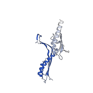 10143_6scn_I_v1-1
33mer structure of the Salmonella flagella MS-ring protein FliF