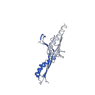 10143_6scn_J_v1-1
33mer structure of the Salmonella flagella MS-ring protein FliF