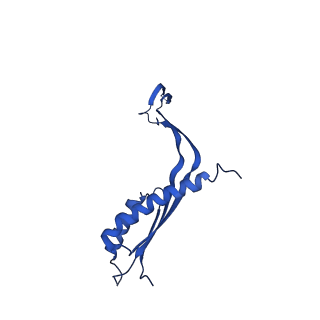 10143_6scn_K_v1-1
33mer structure of the Salmonella flagella MS-ring protein FliF