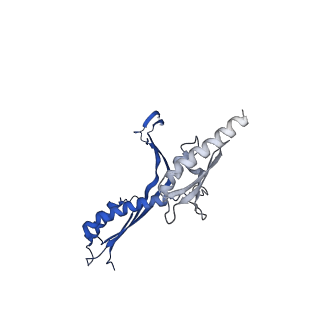 10143_6scn_L_v1-1
33mer structure of the Salmonella flagella MS-ring protein FliF