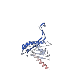 10143_6scn_M_v1-1
33mer structure of the Salmonella flagella MS-ring protein FliF