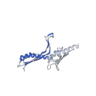 10143_6scn_N_v1-1
33mer structure of the Salmonella flagella MS-ring protein FliF
