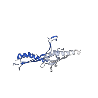 10143_6scn_O_v1-1
33mer structure of the Salmonella flagella MS-ring protein FliF