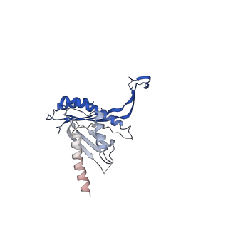 10143_6scn_P_v1-1
33mer structure of the Salmonella flagella MS-ring protein FliF
