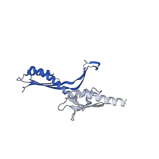 10143_6scn_Q_v1-1
33mer structure of the Salmonella flagella MS-ring protein FliF