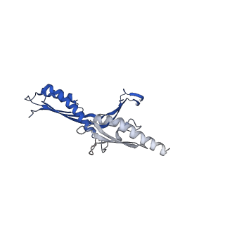 10143_6scn_R_v1-1
33mer structure of the Salmonella flagella MS-ring protein FliF
