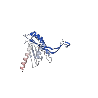 10143_6scn_S_v1-1
33mer structure of the Salmonella flagella MS-ring protein FliF