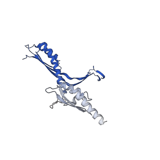 10143_6scn_T_v1-1
33mer structure of the Salmonella flagella MS-ring protein FliF