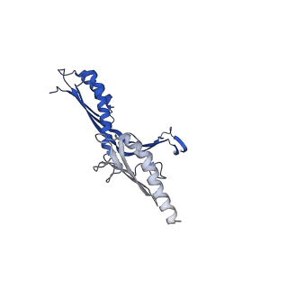10143_6scn_U_v1-1
33mer structure of the Salmonella flagella MS-ring protein FliF