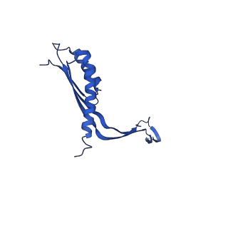 10143_6scn_V_v1-1
33mer structure of the Salmonella flagella MS-ring protein FliF