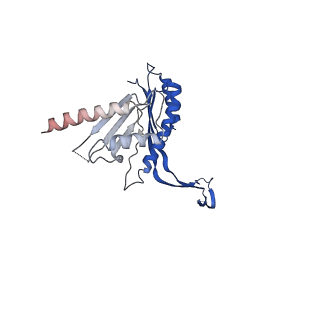 10143_6scn_X_v1-1
33mer structure of the Salmonella flagella MS-ring protein FliF