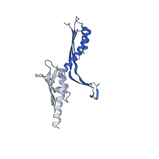 10143_6scn_Y_v1-1
33mer structure of the Salmonella flagella MS-ring protein FliF