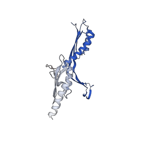 10143_6scn_Z_v1-1
33mer structure of the Salmonella flagella MS-ring protein FliF