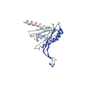 10143_6scn_a_v1-1
33mer structure of the Salmonella flagella MS-ring protein FliF