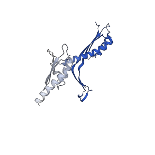 10143_6scn_b_v1-1
33mer structure of the Salmonella flagella MS-ring protein FliF