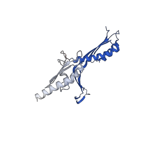 10143_6scn_c_v1-1
33mer structure of the Salmonella flagella MS-ring protein FliF