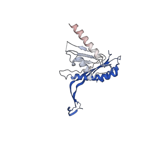 10143_6scn_d_v1-1
33mer structure of the Salmonella flagella MS-ring protein FliF