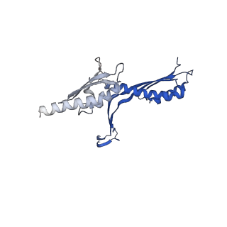 10143_6scn_e_v1-1
33mer structure of the Salmonella flagella MS-ring protein FliF