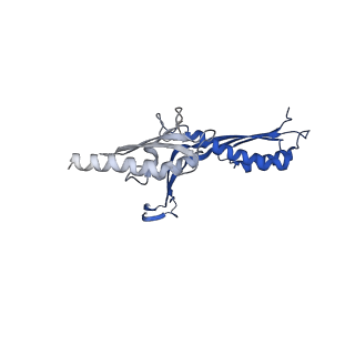 10143_6scn_f_v1-1
33mer structure of the Salmonella flagella MS-ring protein FliF