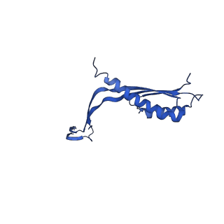 10143_6scn_g_v1-1
33mer structure of the Salmonella flagella MS-ring protein FliF